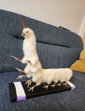 Taxidermy Animal Painting 2025