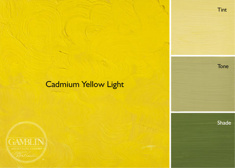 150mL Cadmium Yellow Light Gamblin 1980s