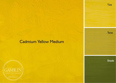 37mL Cadmium Yellow Medium Gamblin 1980s