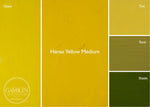 37mL Hansa Yellow Medium Gamblin 1980s